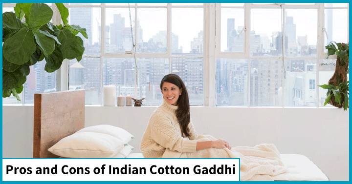 Pros and Cons of Indian
